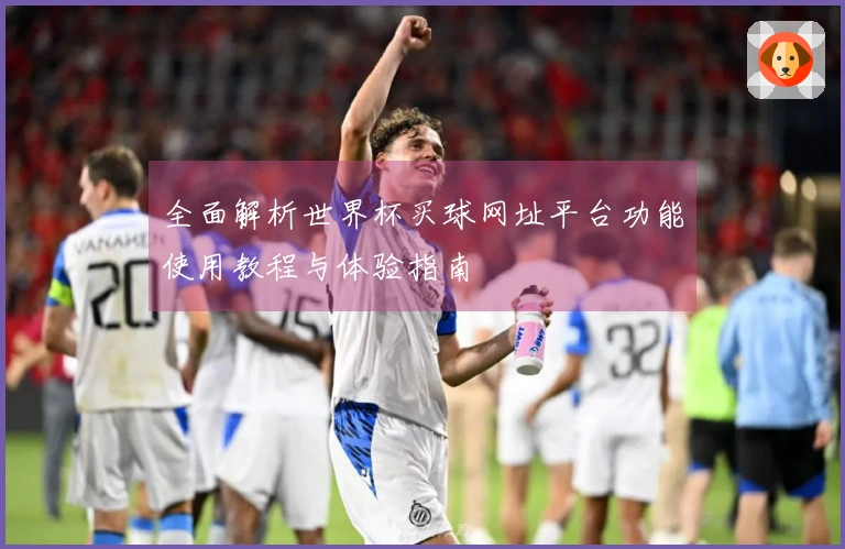 全面解析世界杯买球网址平台功能使用教程与体验指南