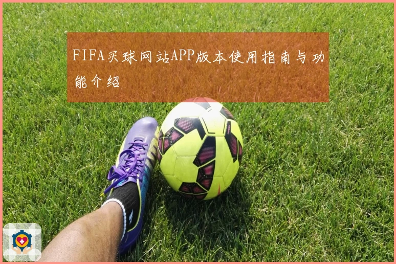 FIFA买球网站APP版本使用指南与功能介绍