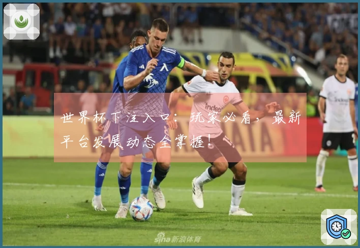 世界杯下注入口：玩家必看，最新平台发展动态全掌握！