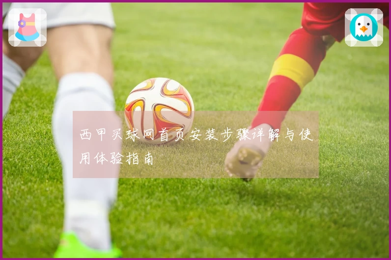 西甲买球网首页安装步骤详解与使用体验指南