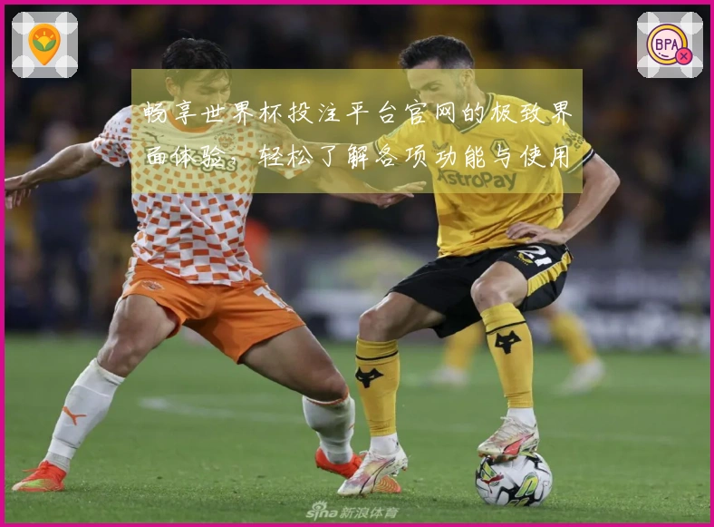 畅享世界杯投注平台官网的极致界面体验，轻松了解各项功能与使用指南