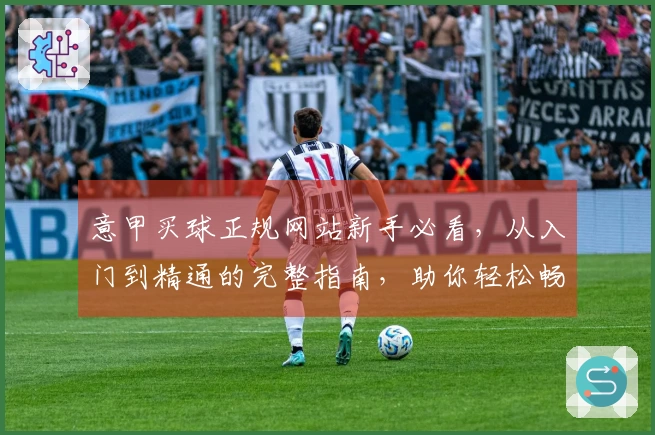 意甲买球正规网站新手必看，从入门到精通的完整指南，助你轻松畅玩
