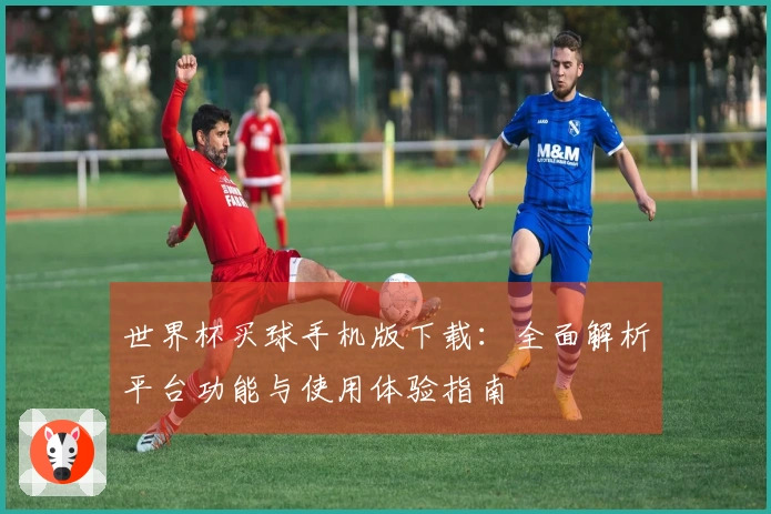 世界杯买球手机版下载：全面解析平台功能与使用体验指南